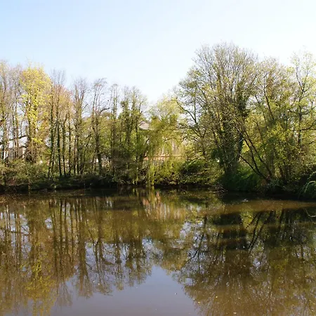 Ferienhaeuschen Nordwolle - Zentral, Guenstig, Gruen *