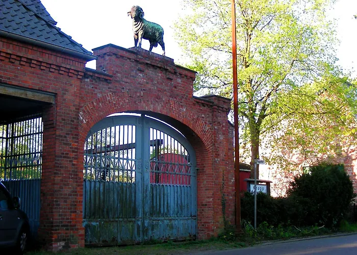 Ferienhaeuschen Nordwolle - Zentral, Guenstig, Gruen 公寓 德尔门霍斯特